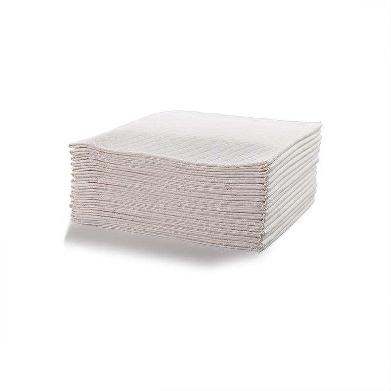 PaWz 100 Pcs 60x60 cm Pet Puppy Dog Toilet Training Pads Absorbent Meadow Scent