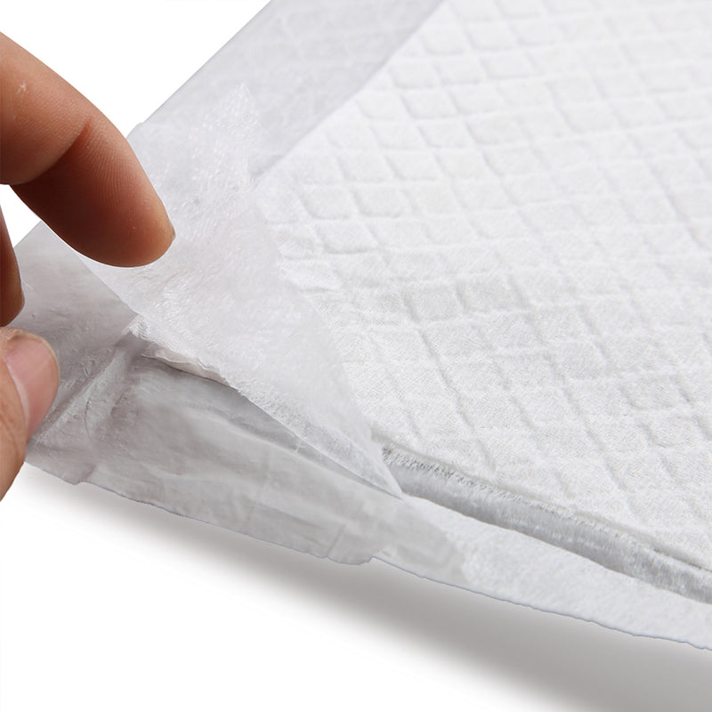 PaWz 100 Pcs 60x60 cm Pet Puppy Dog Toilet Training Pads Absorbent Meadow Scent