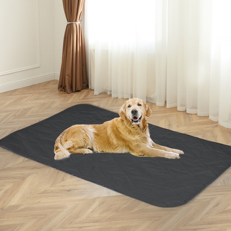 PaWz 2x Washable Dog Puppy Training Pad Pee Puppy Reusable Cushion Jumbo Grey