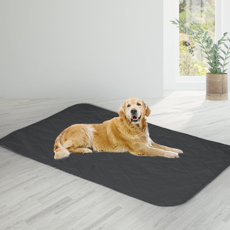 PaWz 2x Washable Dog Puppy Training Pad Pee Puppy Reusable Cushion Jumbo Grey