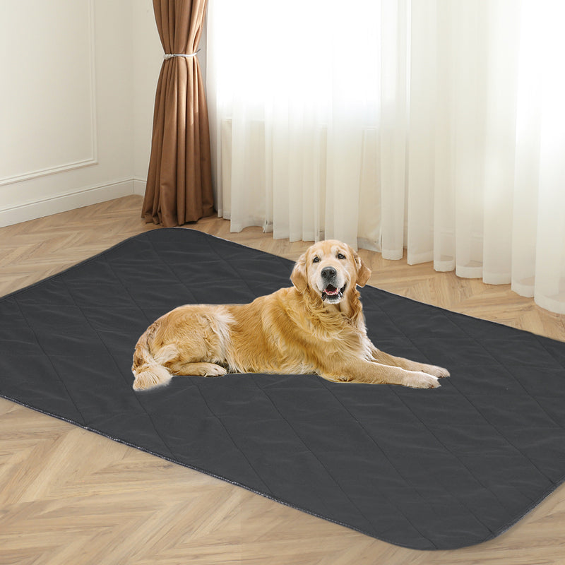 PaWz 4x Washable Dog Puppy Training Pad Pee Puppy Reusable Cushion King Grey