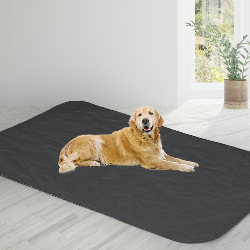 PaWz 4x Washable Dog Puppy Training Pad Pee Puppy Reusable Cushion King Grey