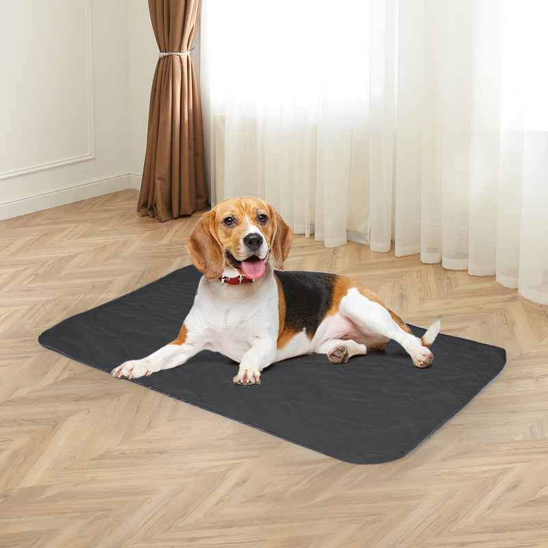 PaWz 2x Washable Dog Puppy Training Pad Pee Puppy Reusable Cushion L Grey