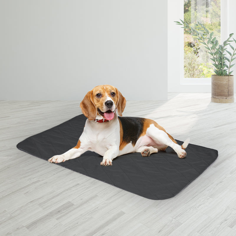 PaWz 2x Washable Dog Puppy Training Pad Pee Puppy Reusable Cushion L Grey