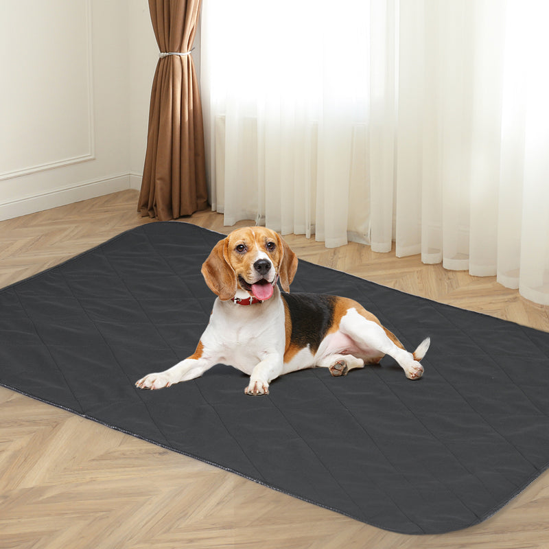 PaWz 2x Washable Dog Puppy Training Pad Pee Puppy Reusable Cushion XXL Grey