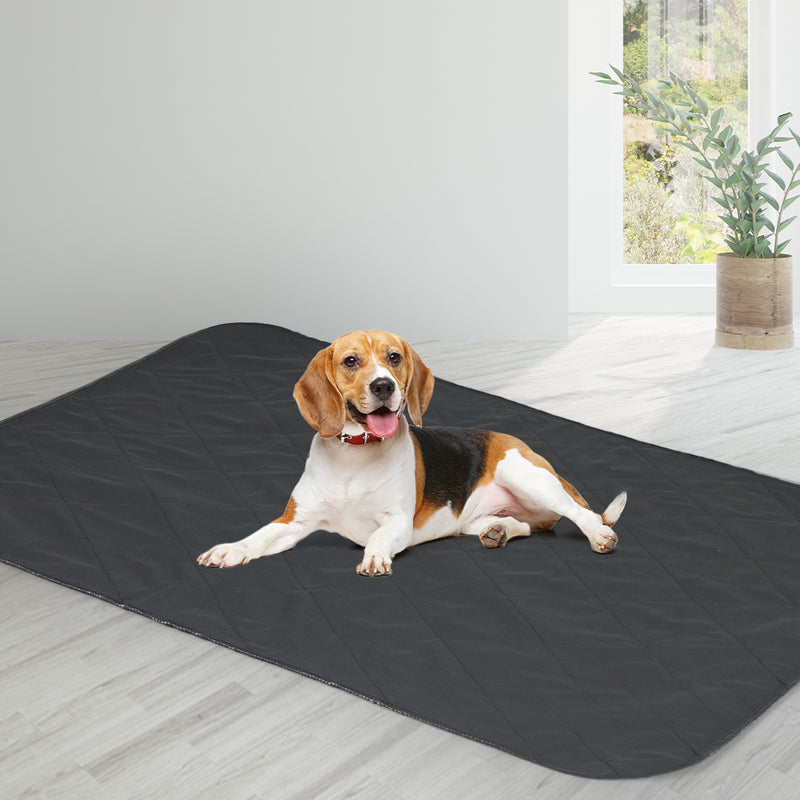 PaWz 2x Washable Dog Puppy Training Pad Pee Puppy Reusable Cushion XXL Grey
