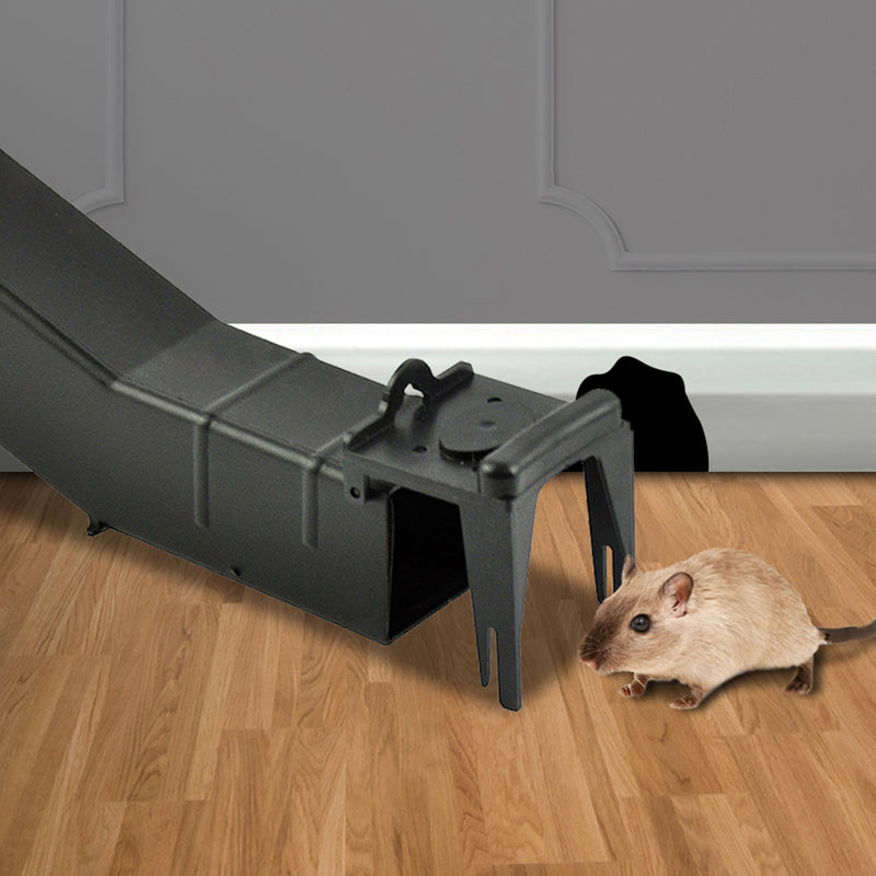 4 Black Mouse Rat Mice Trap Live Capture Safe Reusable