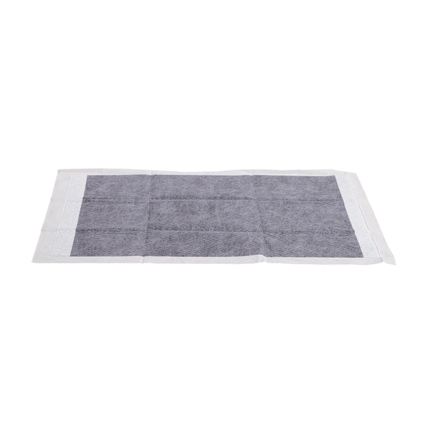 PaWz 400 Pcs 60x60cm Charcoal Pet Puppy Dog Toilet Training Pads Ultra Absorbent