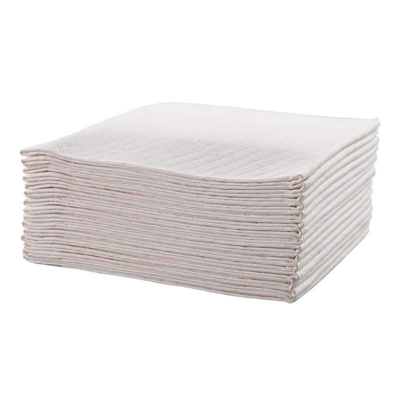 PaWz 400 Pcs 60x60 cm Pet Puppy Dog Toilet Training Pads Absorbent Meadow Scent