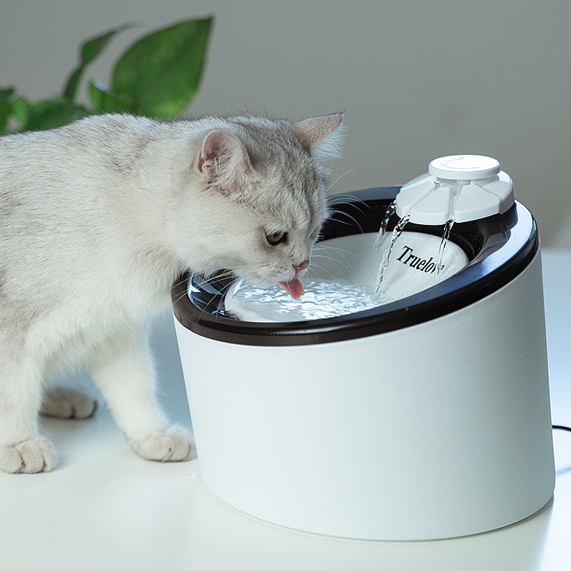 Automatic Water Dispenser WD T1